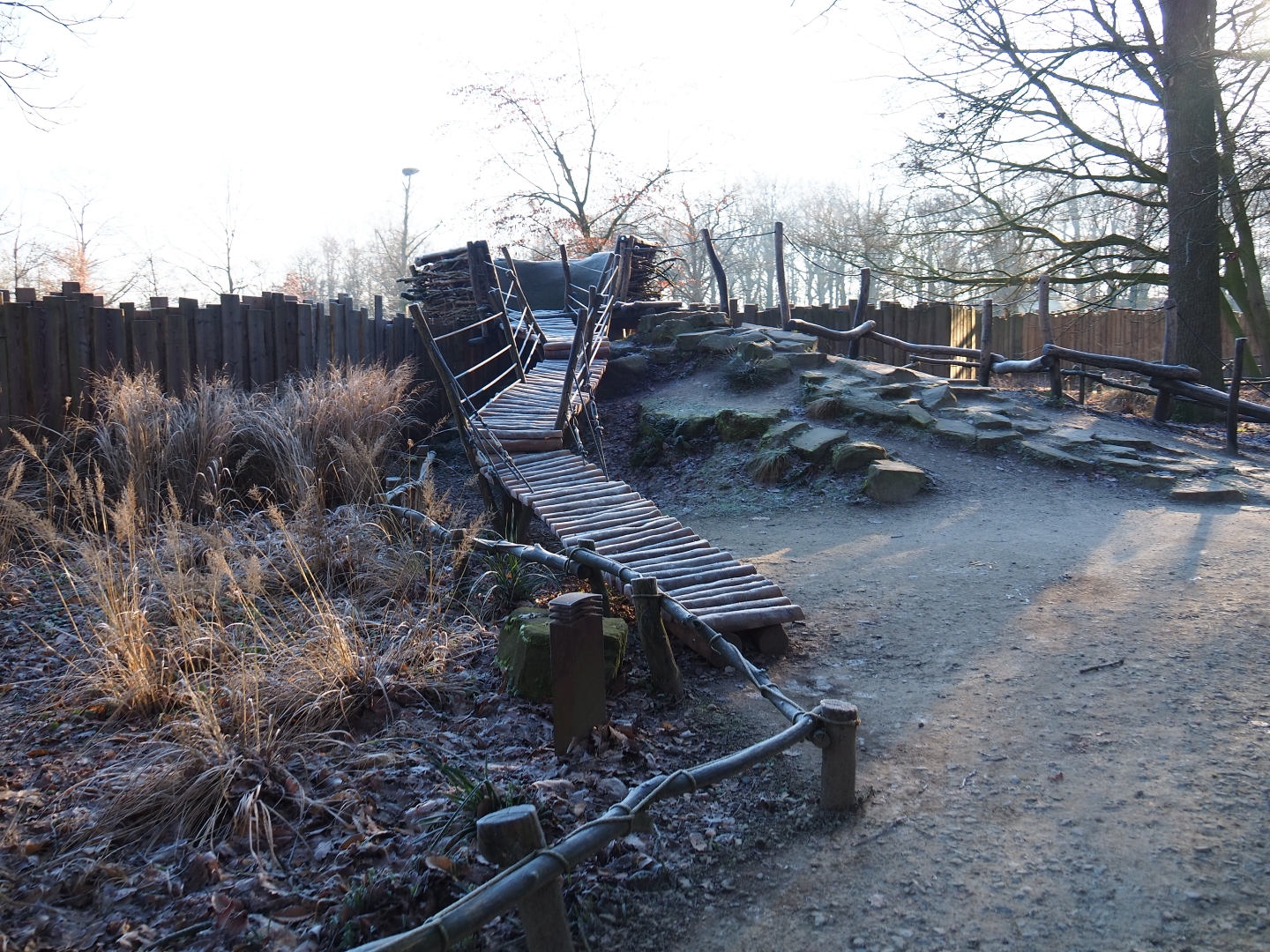Adventurous viewing area American plains bison - Rocky Mountain elk prairie (Jan 20th, 2019)