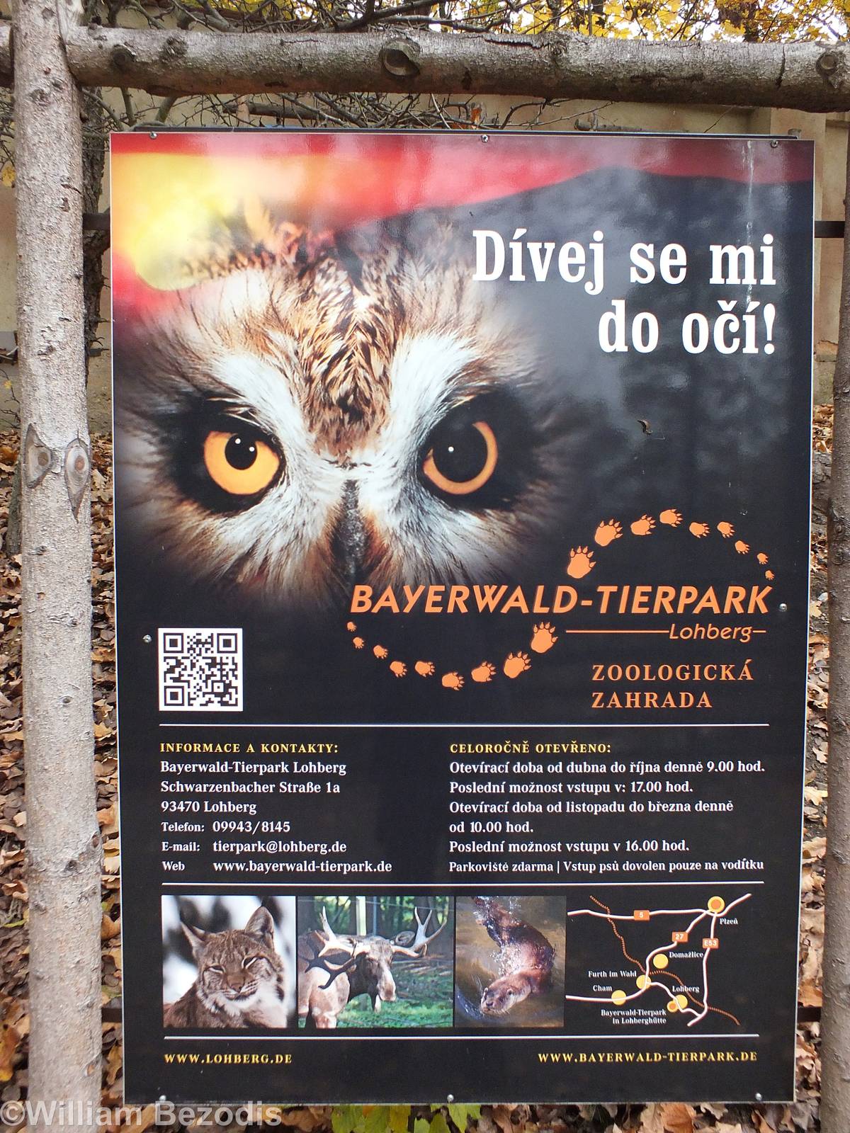 Advert for Another Zoo