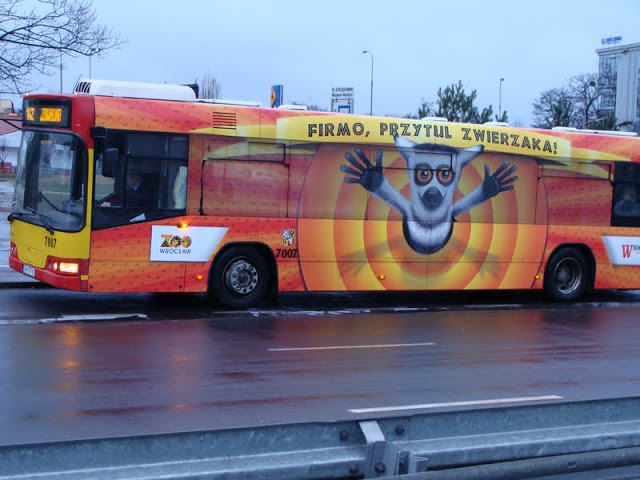 Advertisement Zoo on vehicles of the public transport