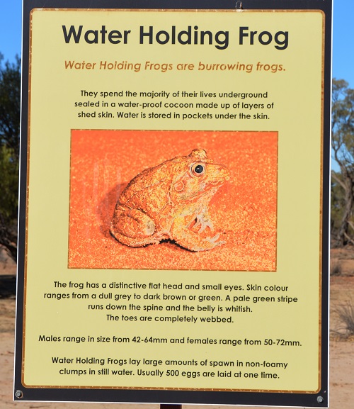 Advisory sign.   Q'ld