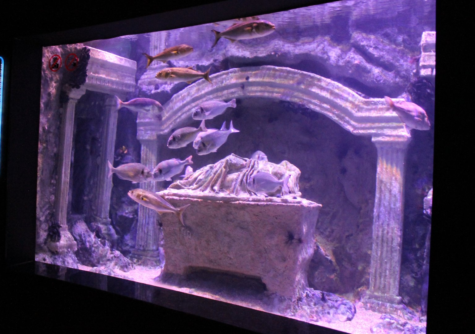 Aegean Sea - aquarium