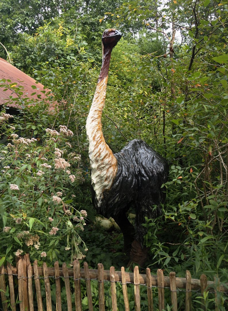 Aepyornis maximus model, 2024-08-18