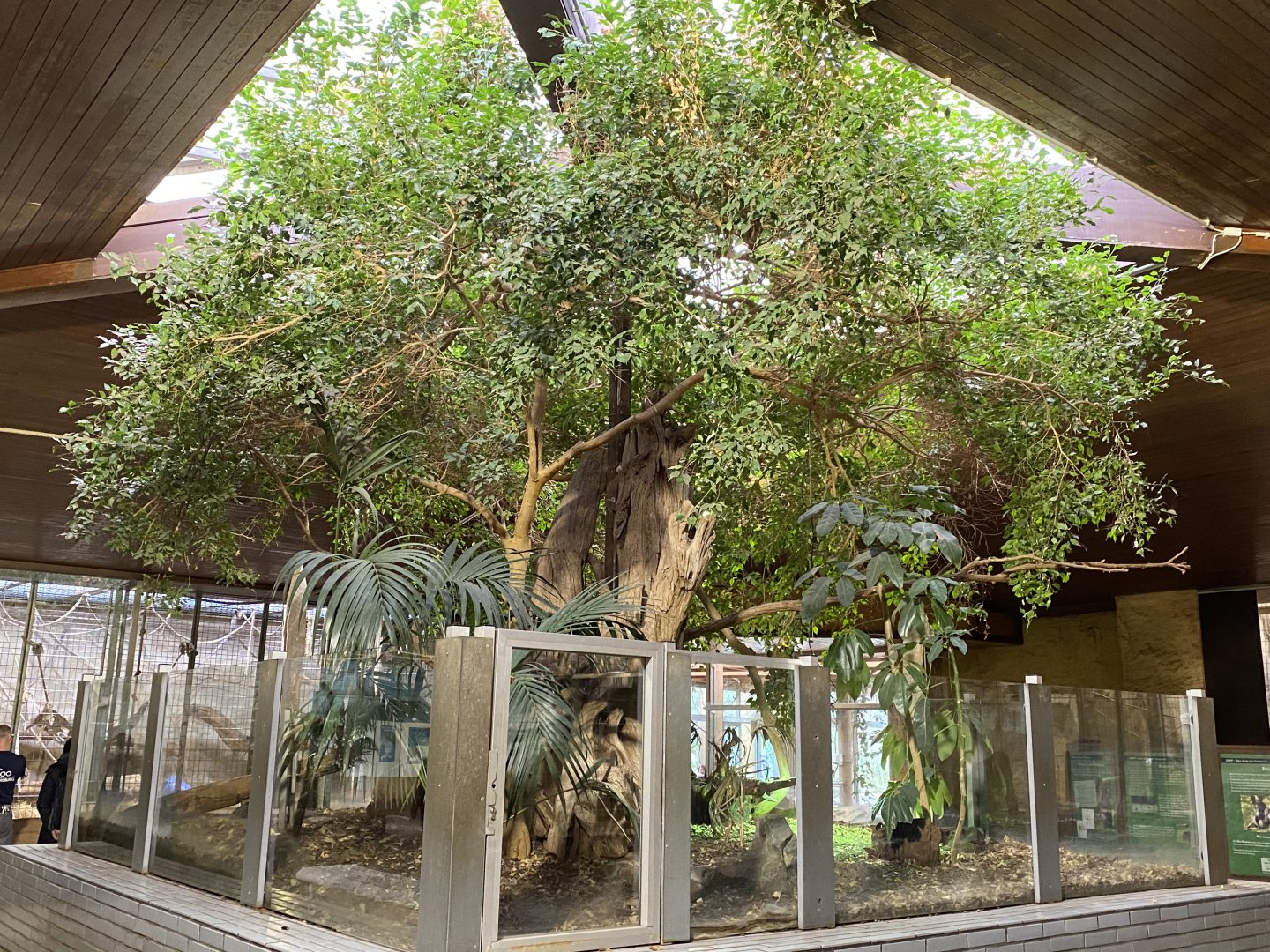 Aequatorium/Affenhaus - centre exhibit 011219