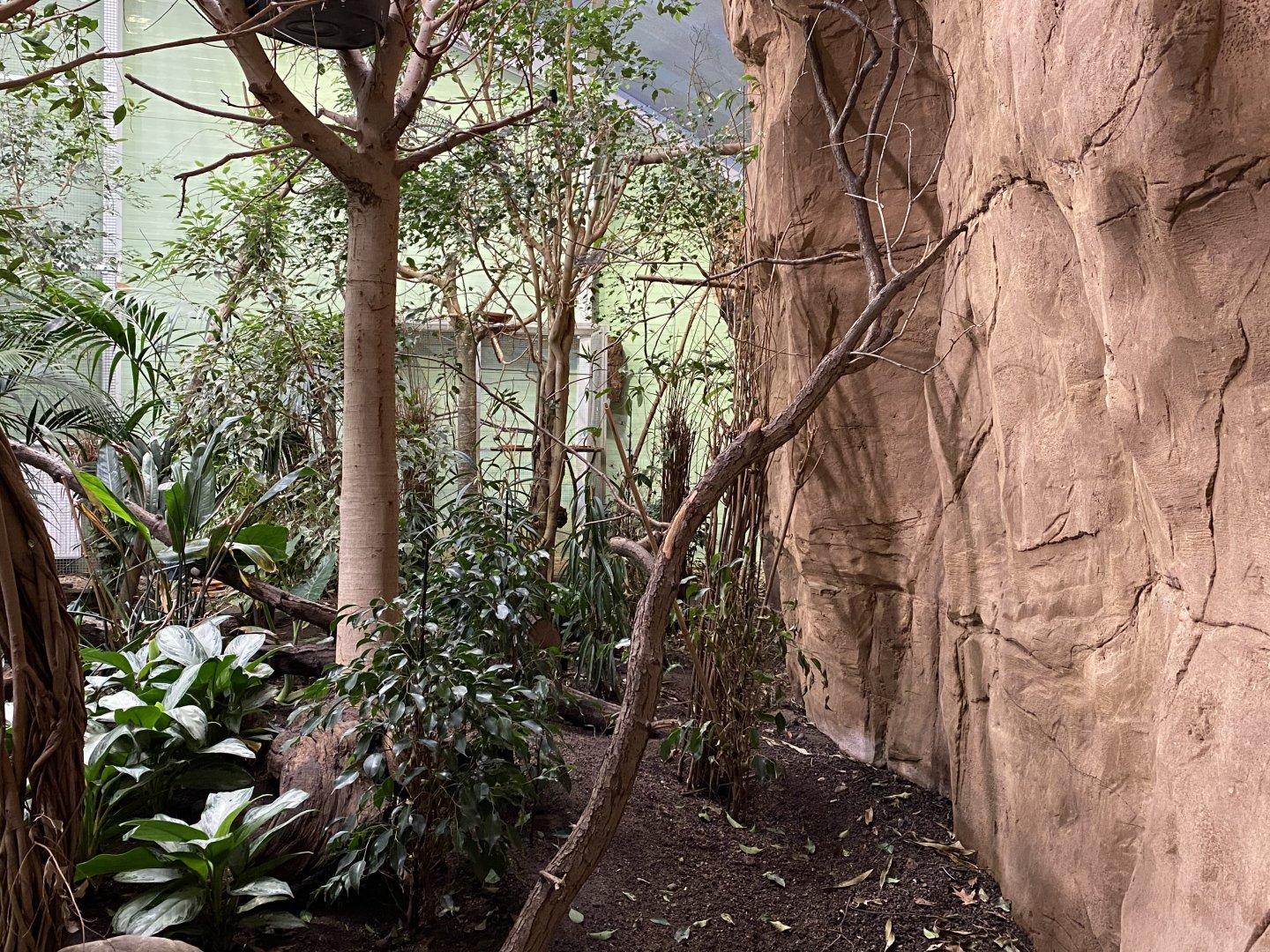 Aequatorium/Affenhaus - larger aviary 011219