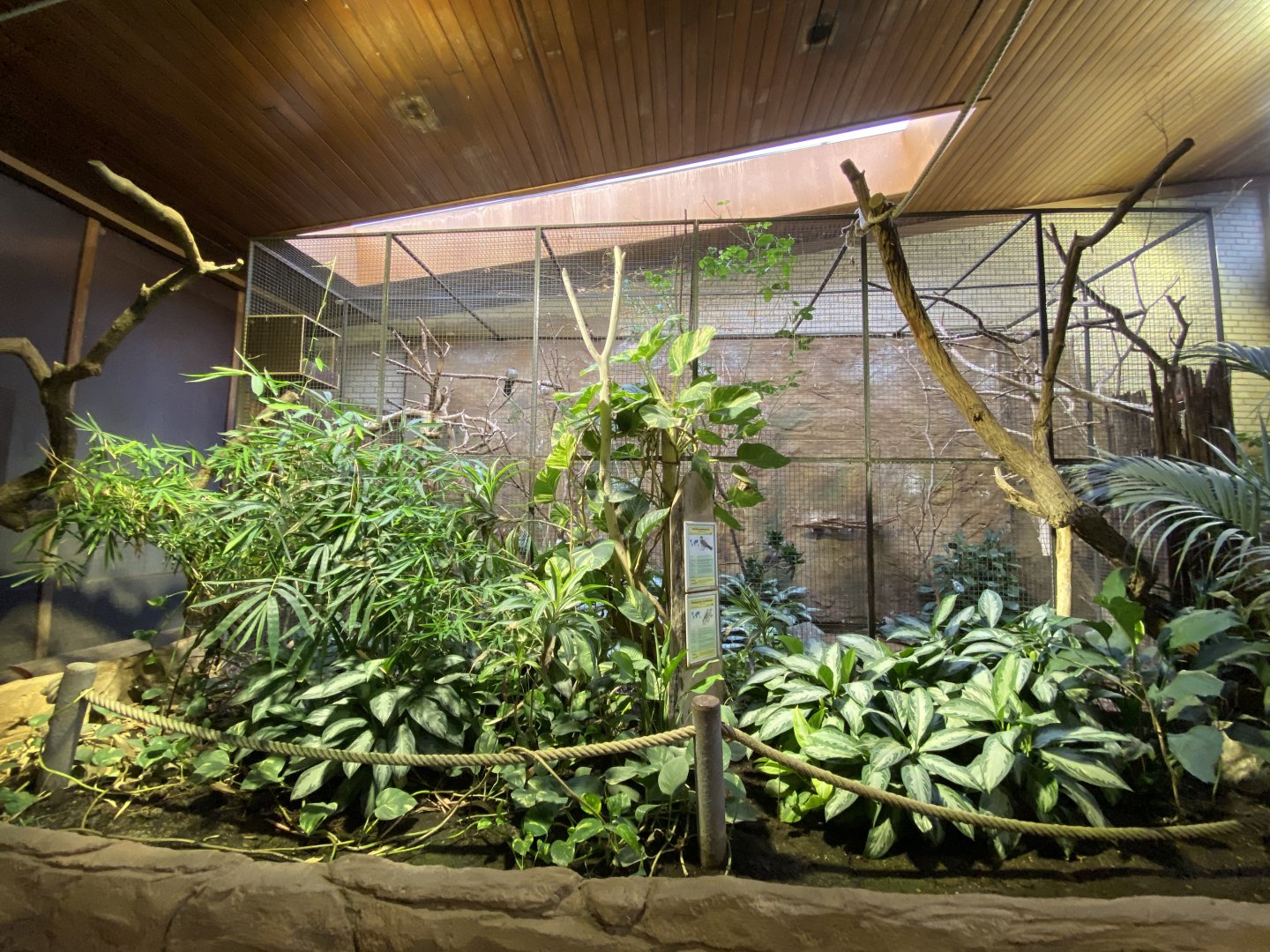 Aequatorium/Affenhaus - smaller aviary 011219