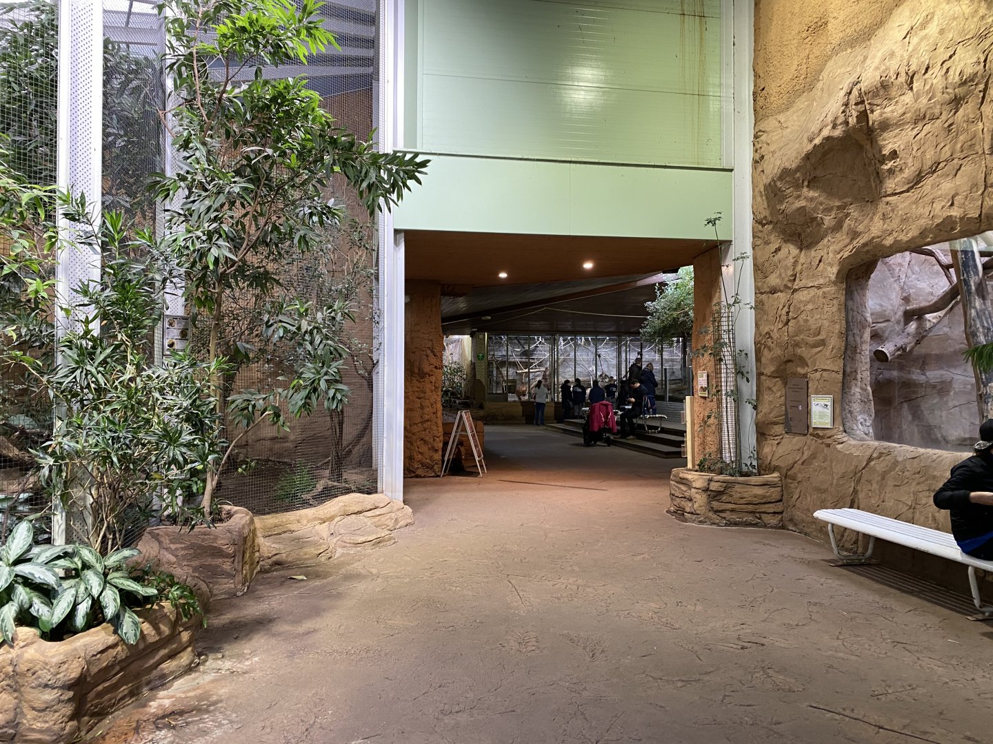 Aequatorium/Affenhaus view 011219