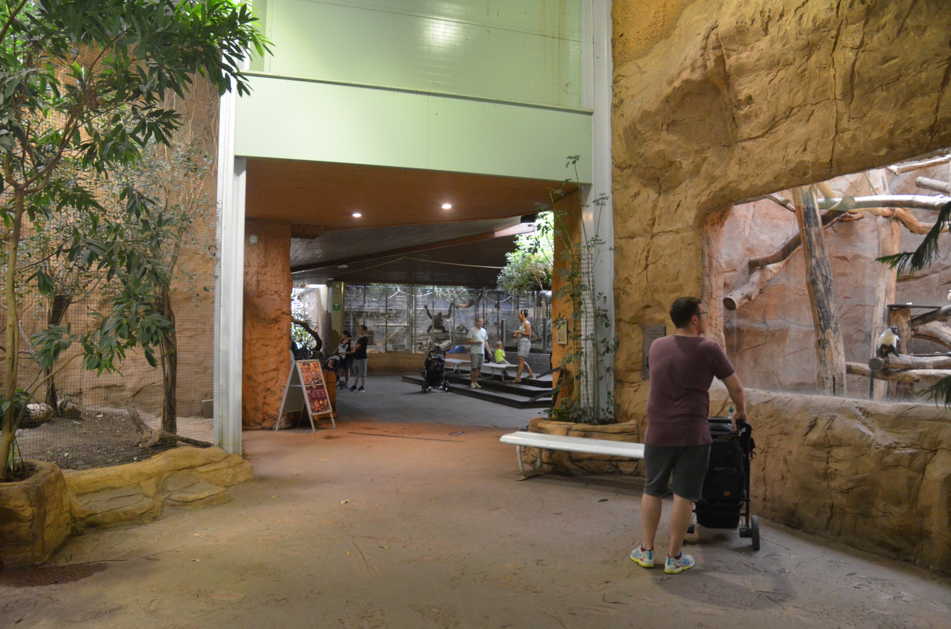 Aequatorium at Duisburg, 17/06/19