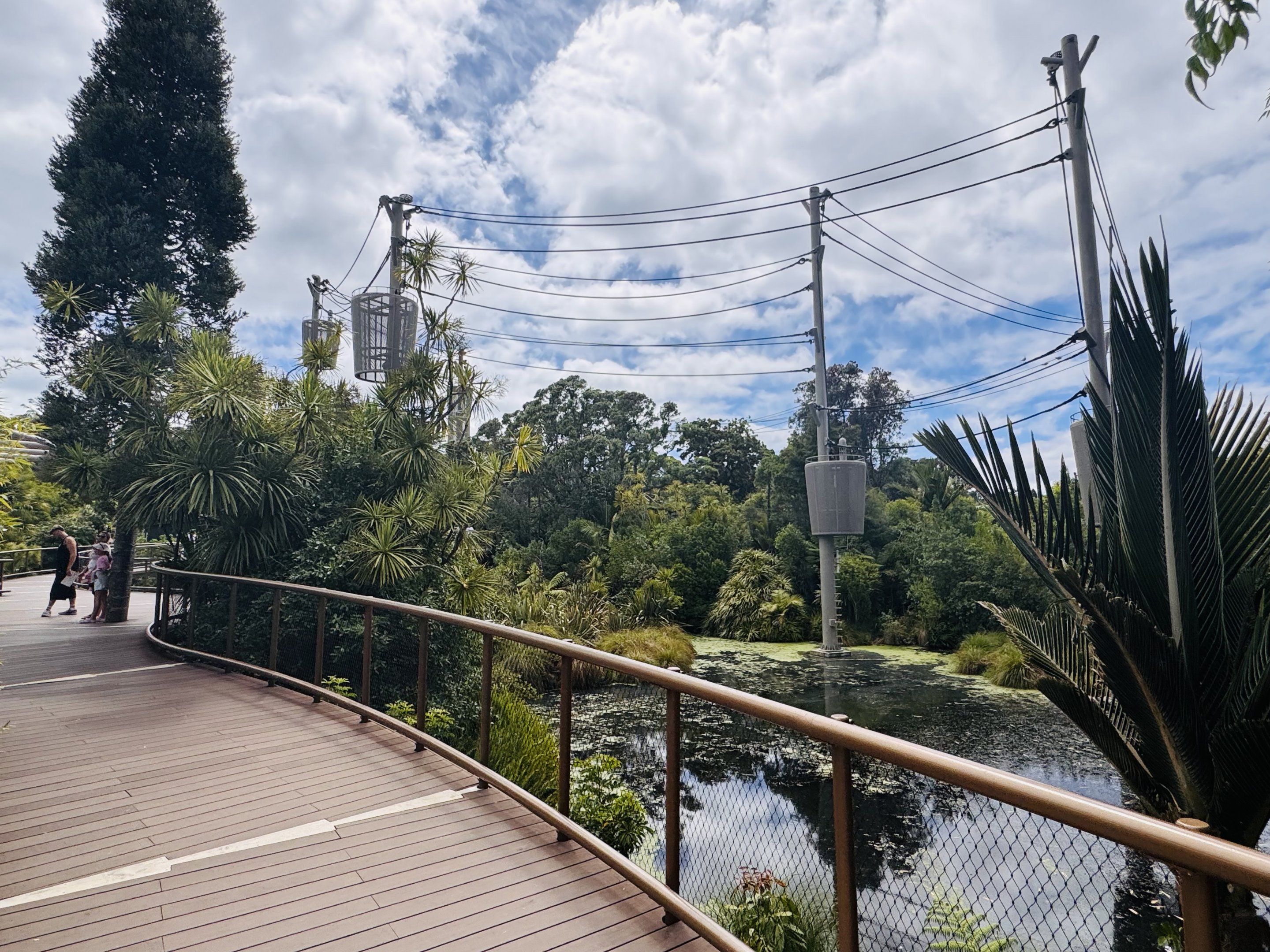 Aerial pathway for apes