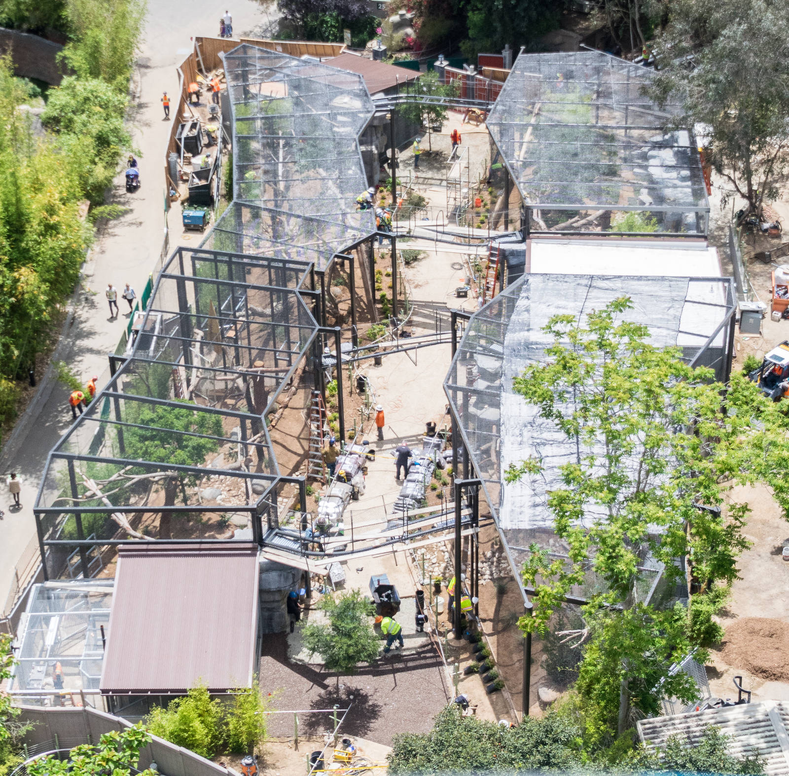 Aerial view of leopard exhibit