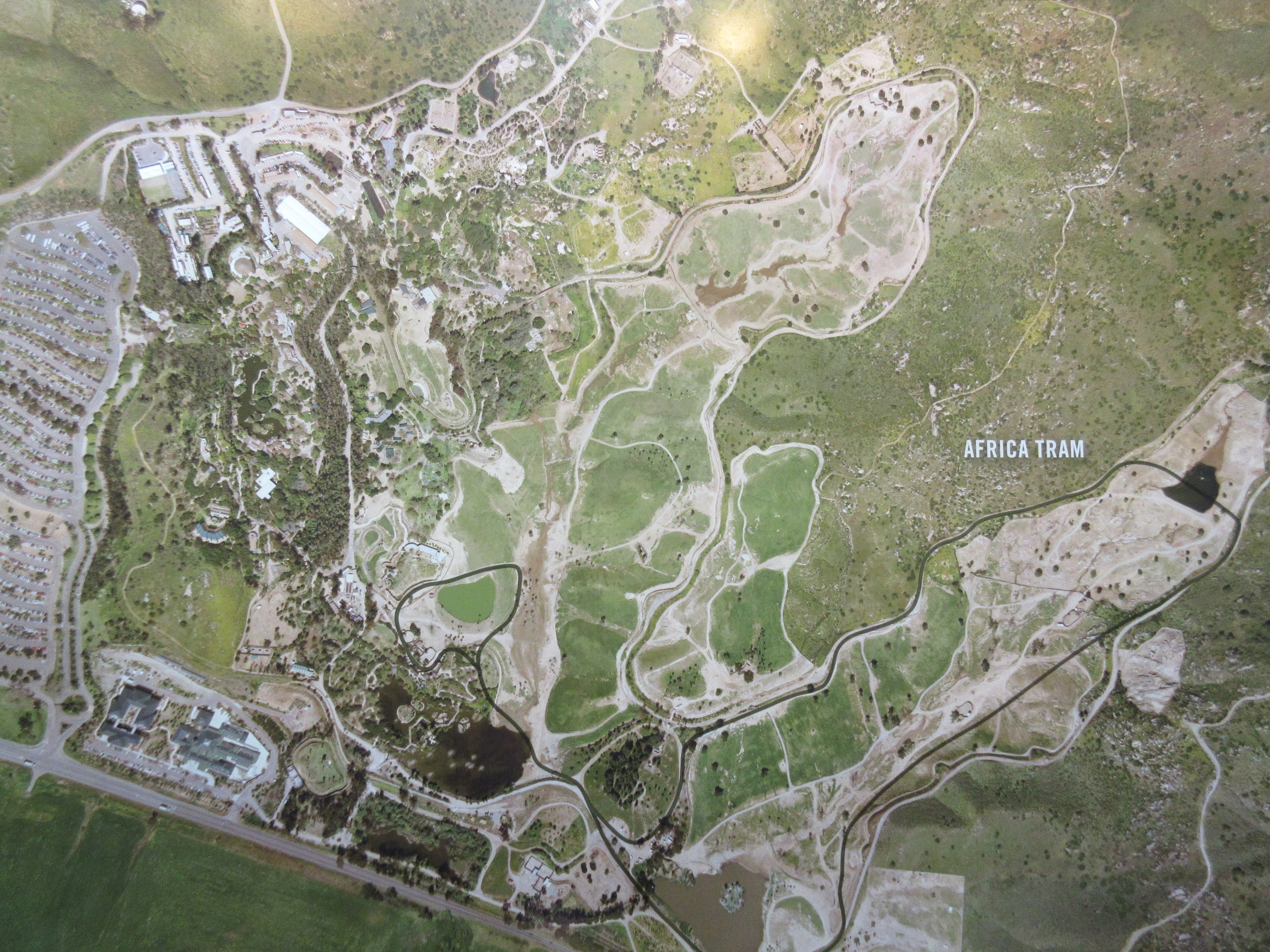 Aerial View of Safari Park