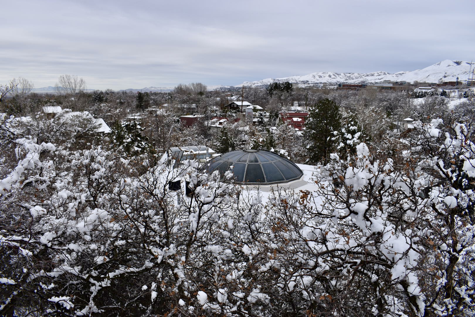 Aerial View - Small Animal Building