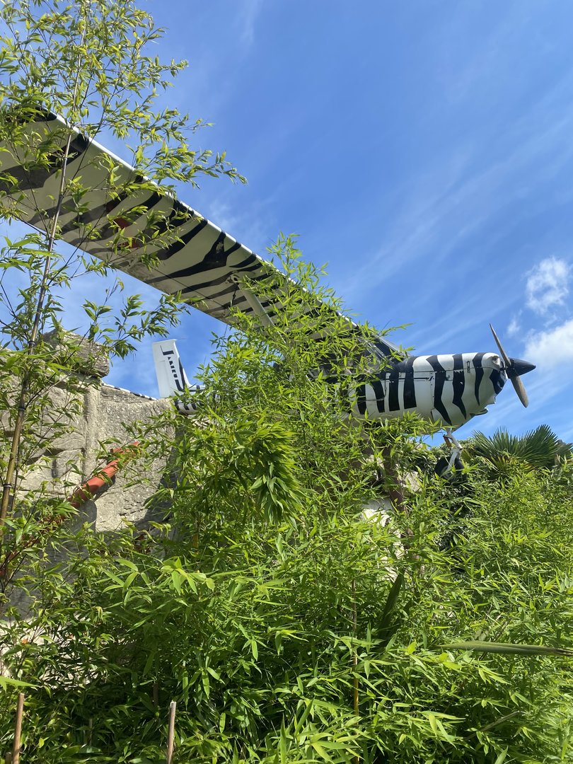 Aeroplane on roof 140923