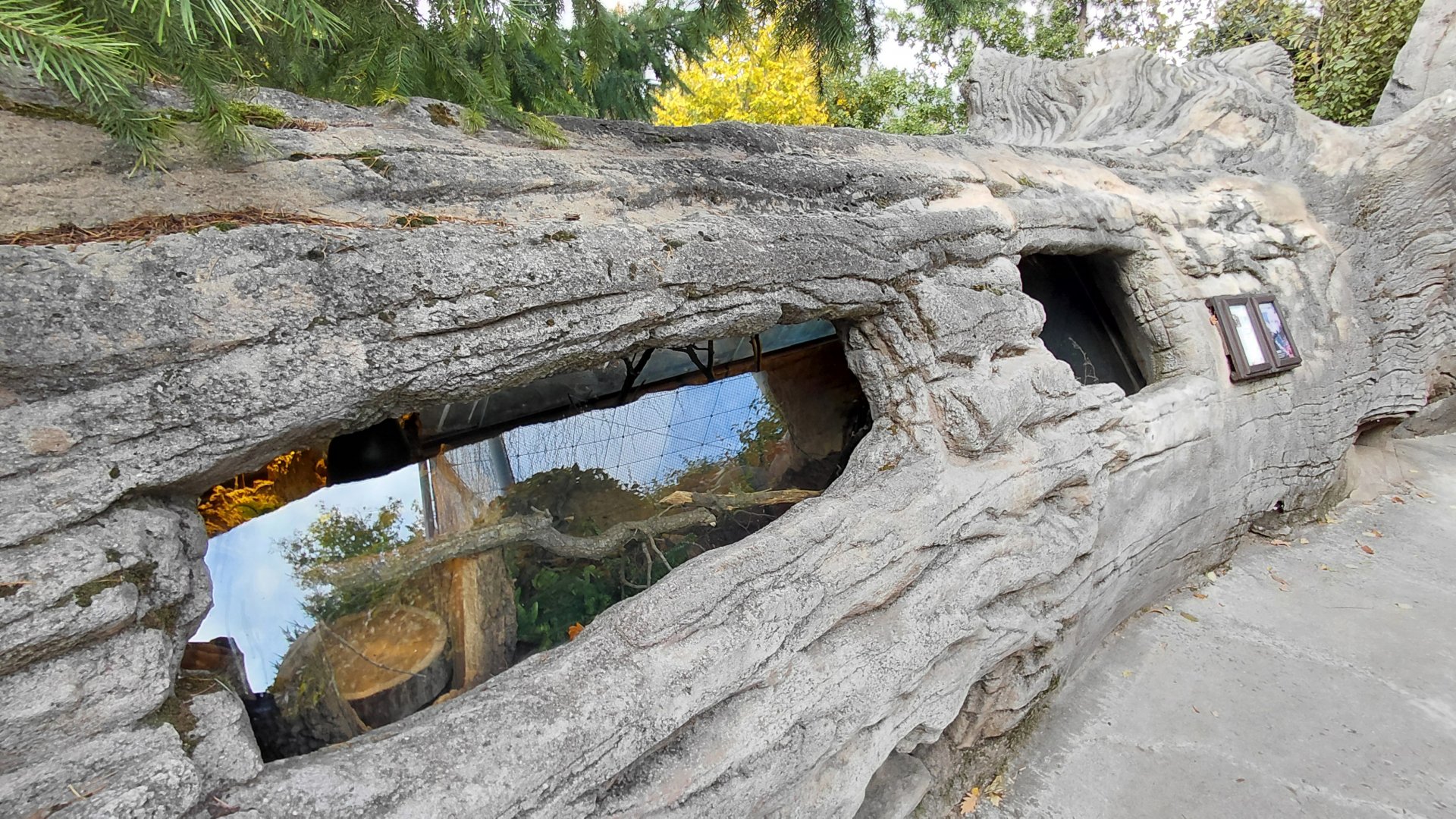 Aesculepian snake exhibit