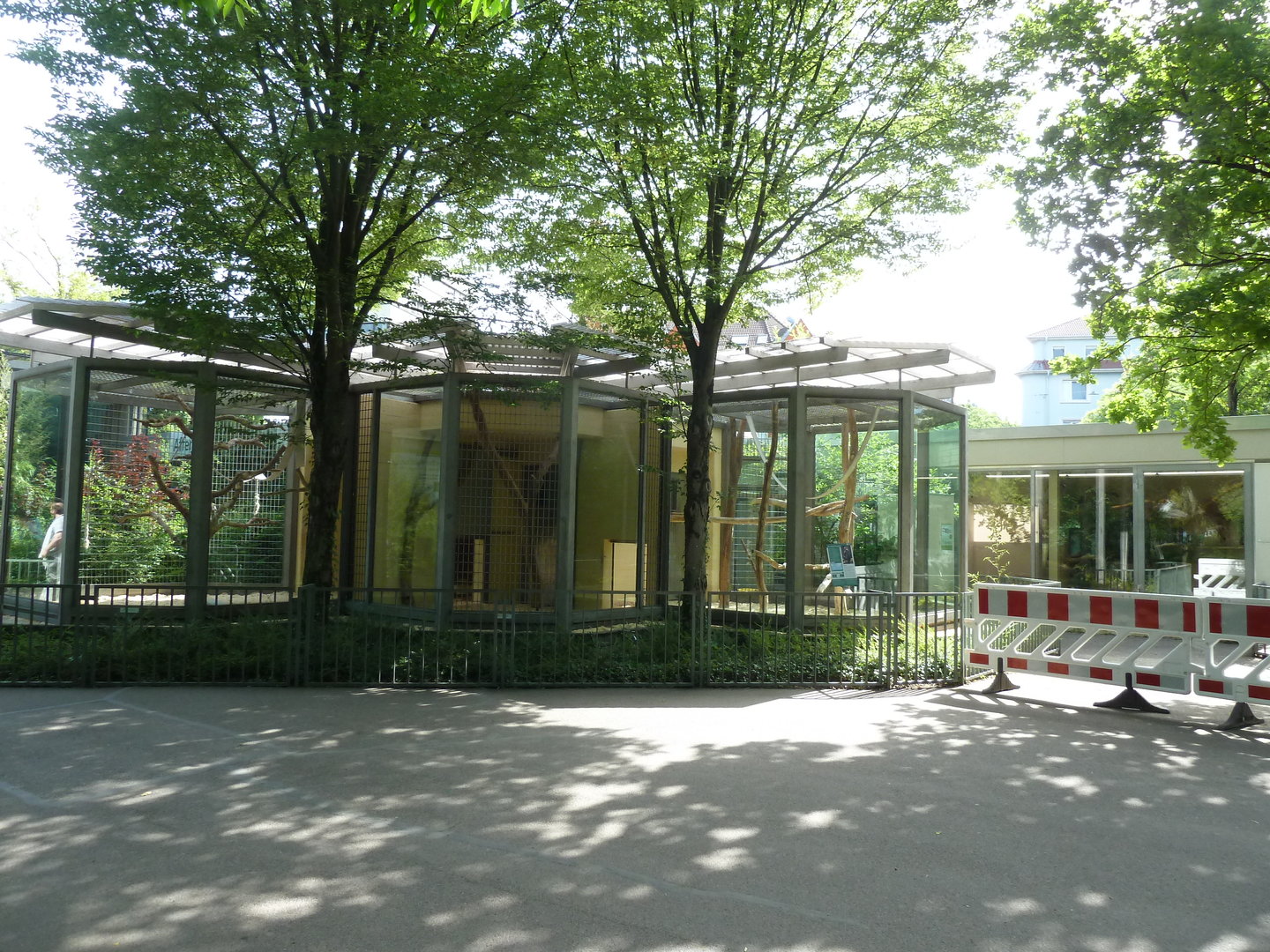 Affenhaus - cages for collared mangabey