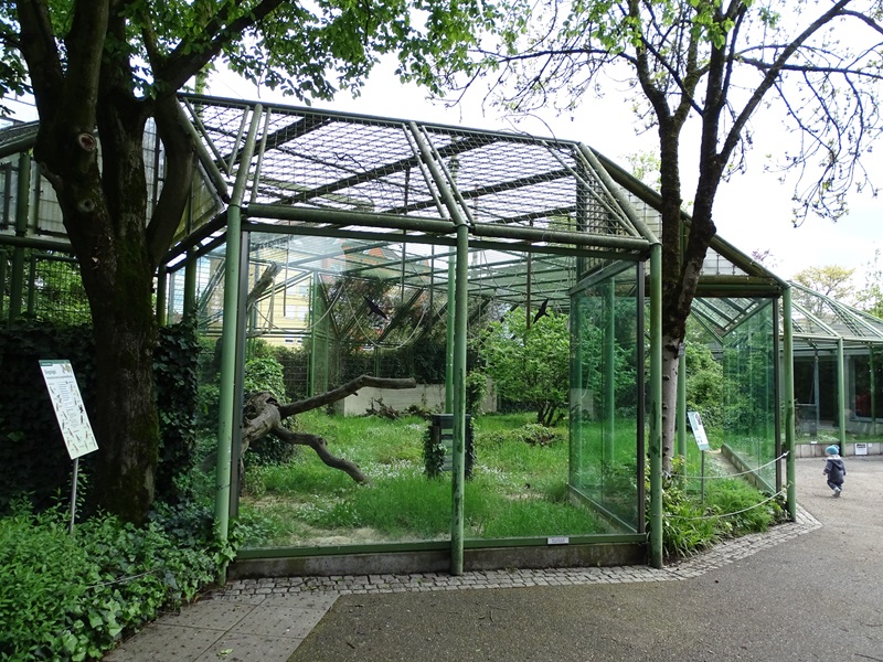 Affenhaus: Chimpansee enclosure