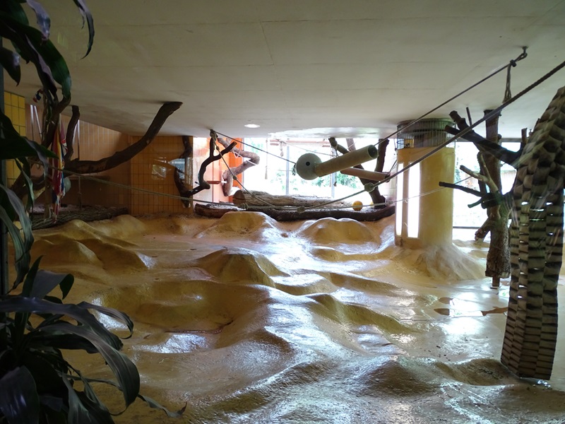 Affenhaus: Chimpansee indoor enclosure