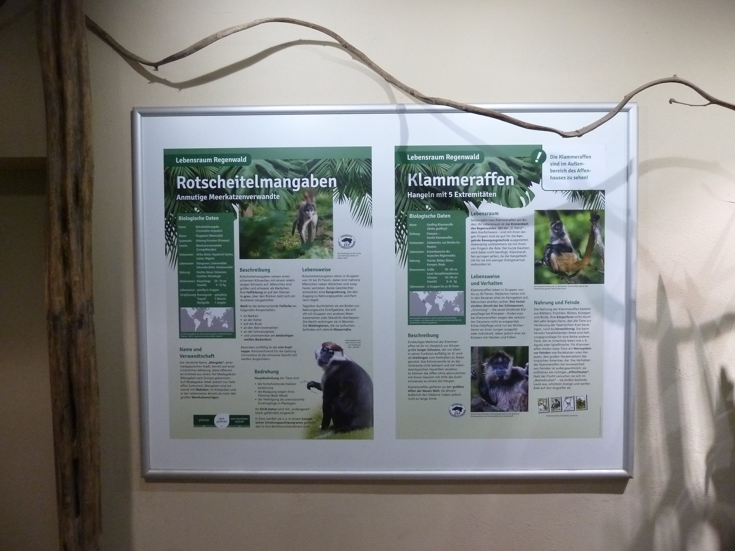 Affenhaus - Information board