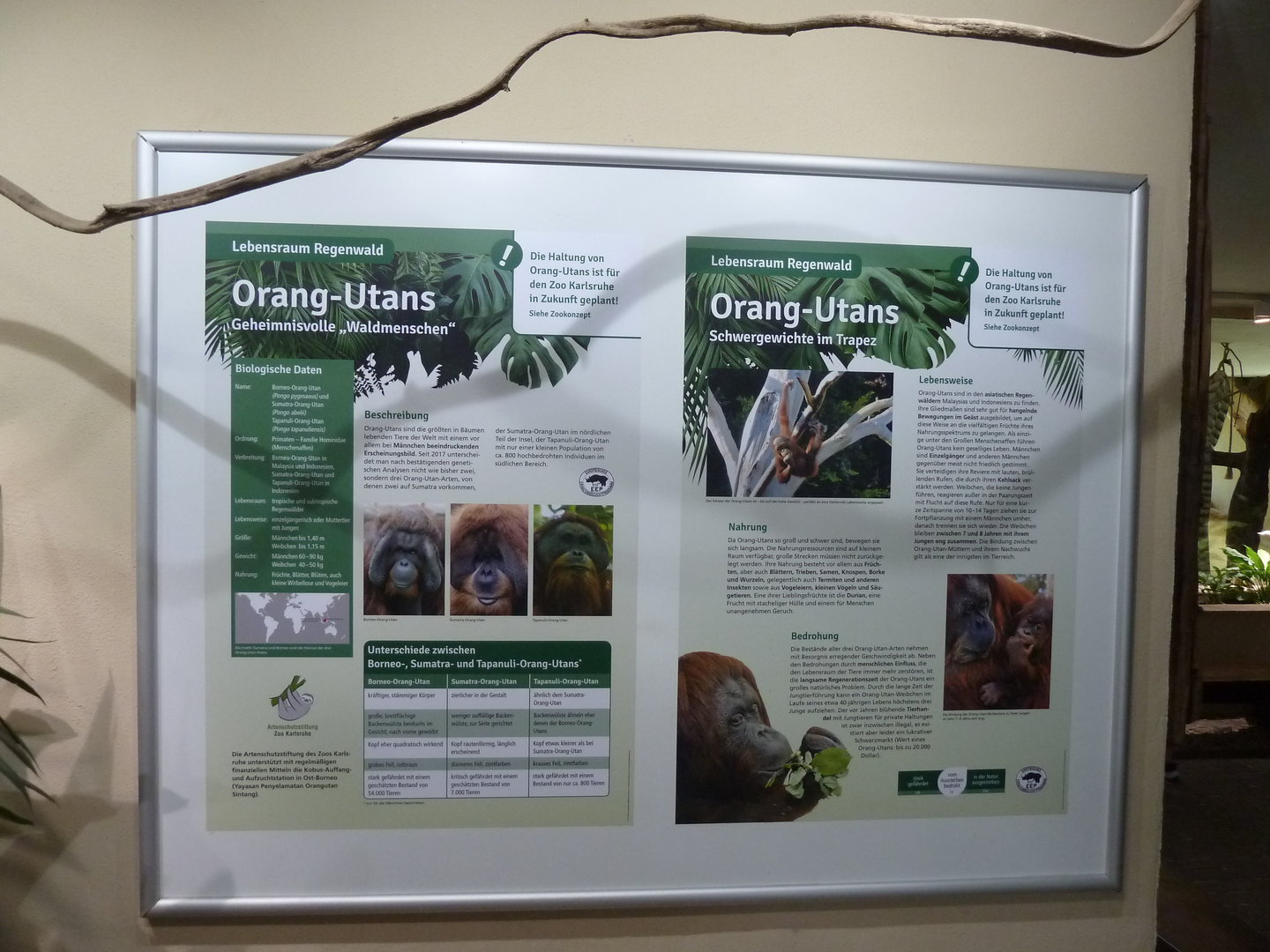 Affenhaus - Information board