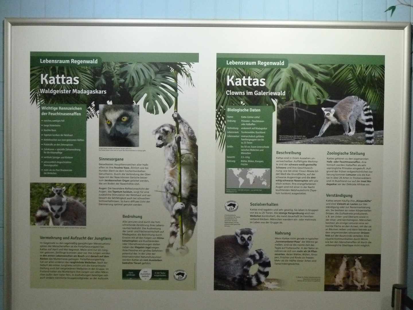 Affenhaus - Information board