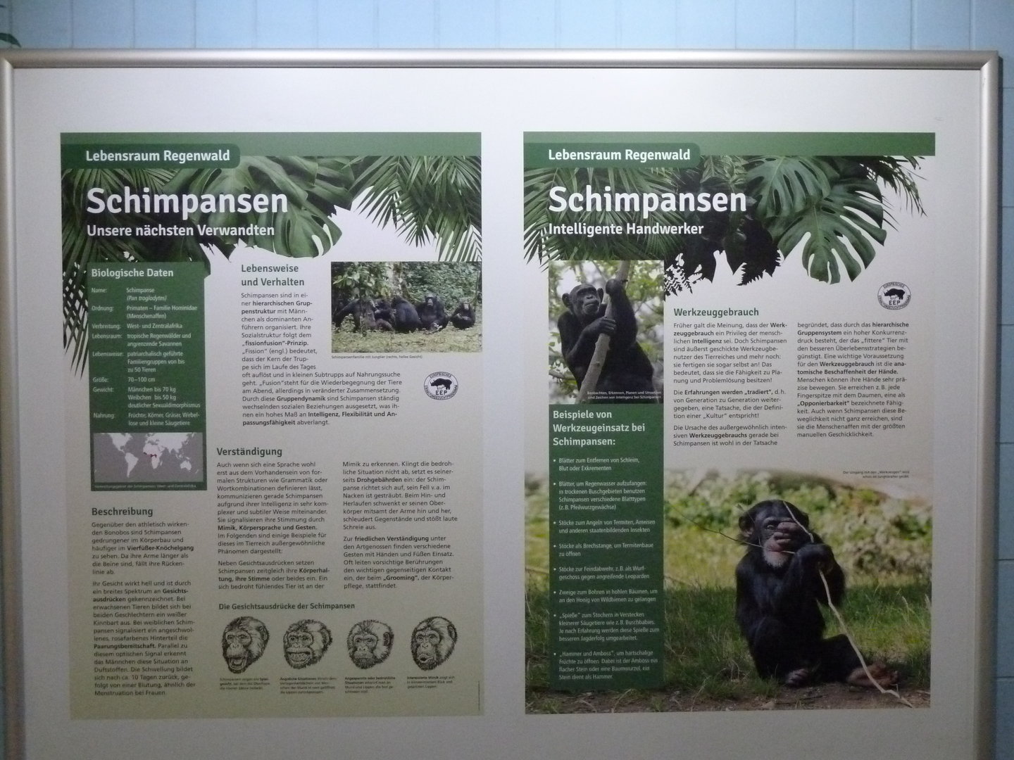 Affenhaus - Information board