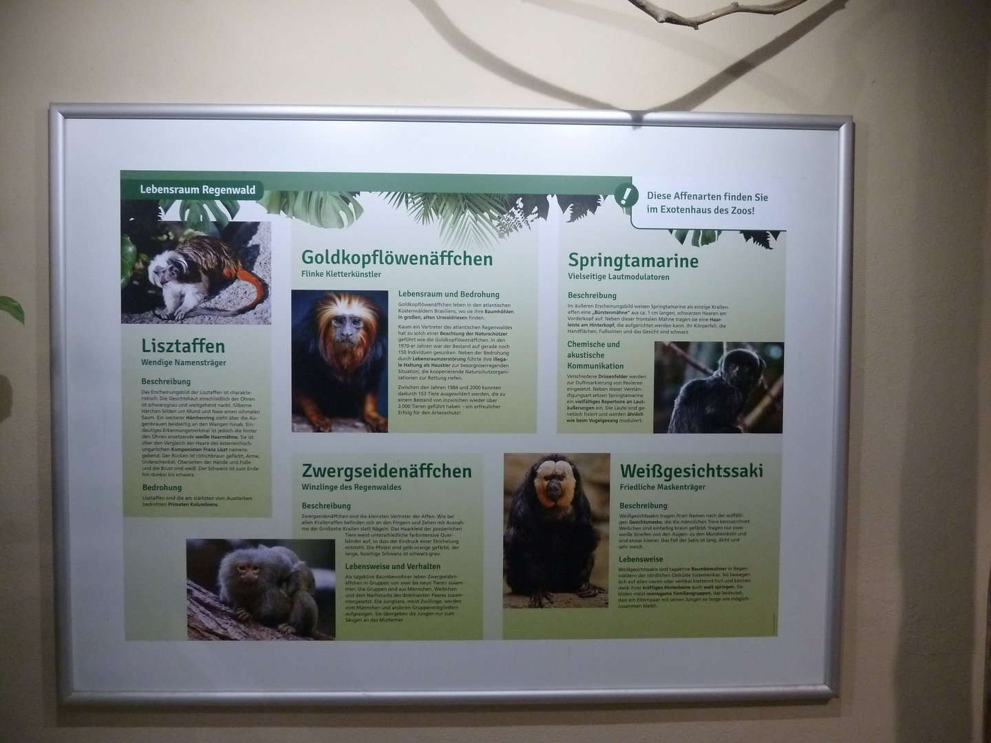 Affenhaus - Information board