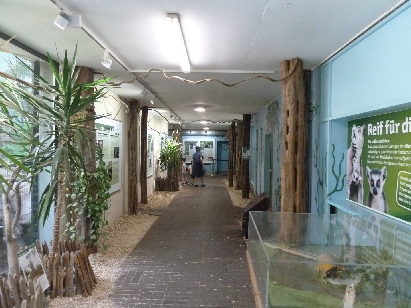 Affenhaus - Interior