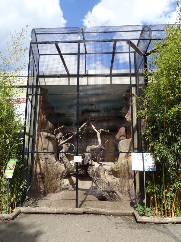 Affenhaus: Scarlet macaw and black-headed parrot  aviary