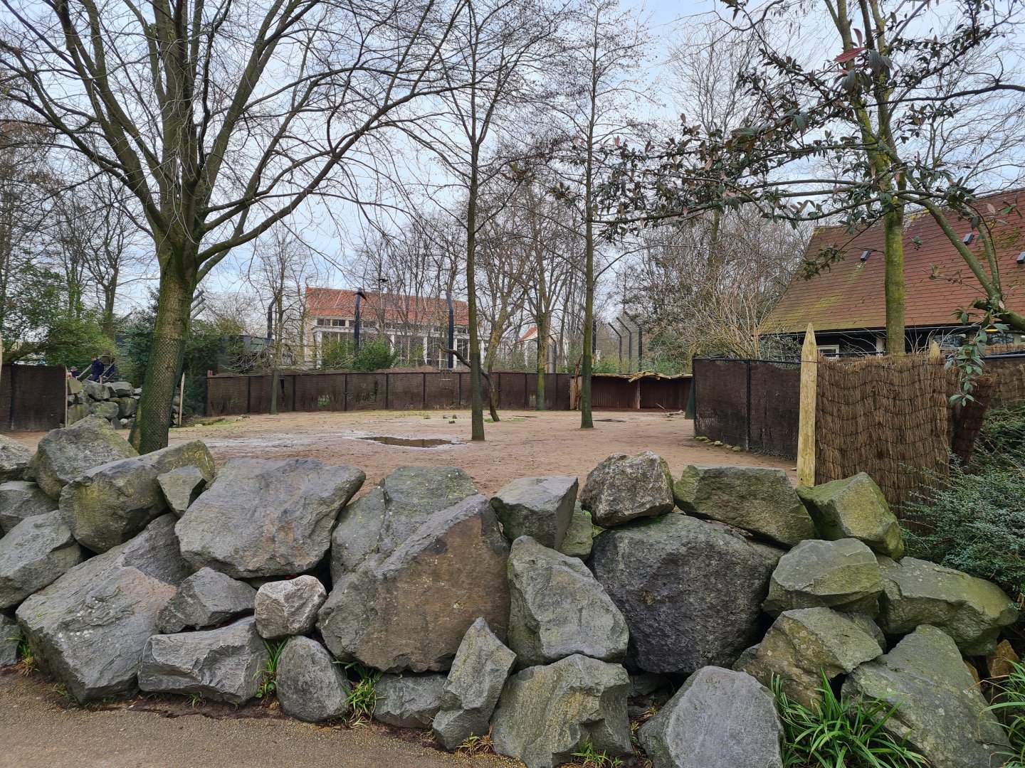 Africa - Addra gazelle paddock