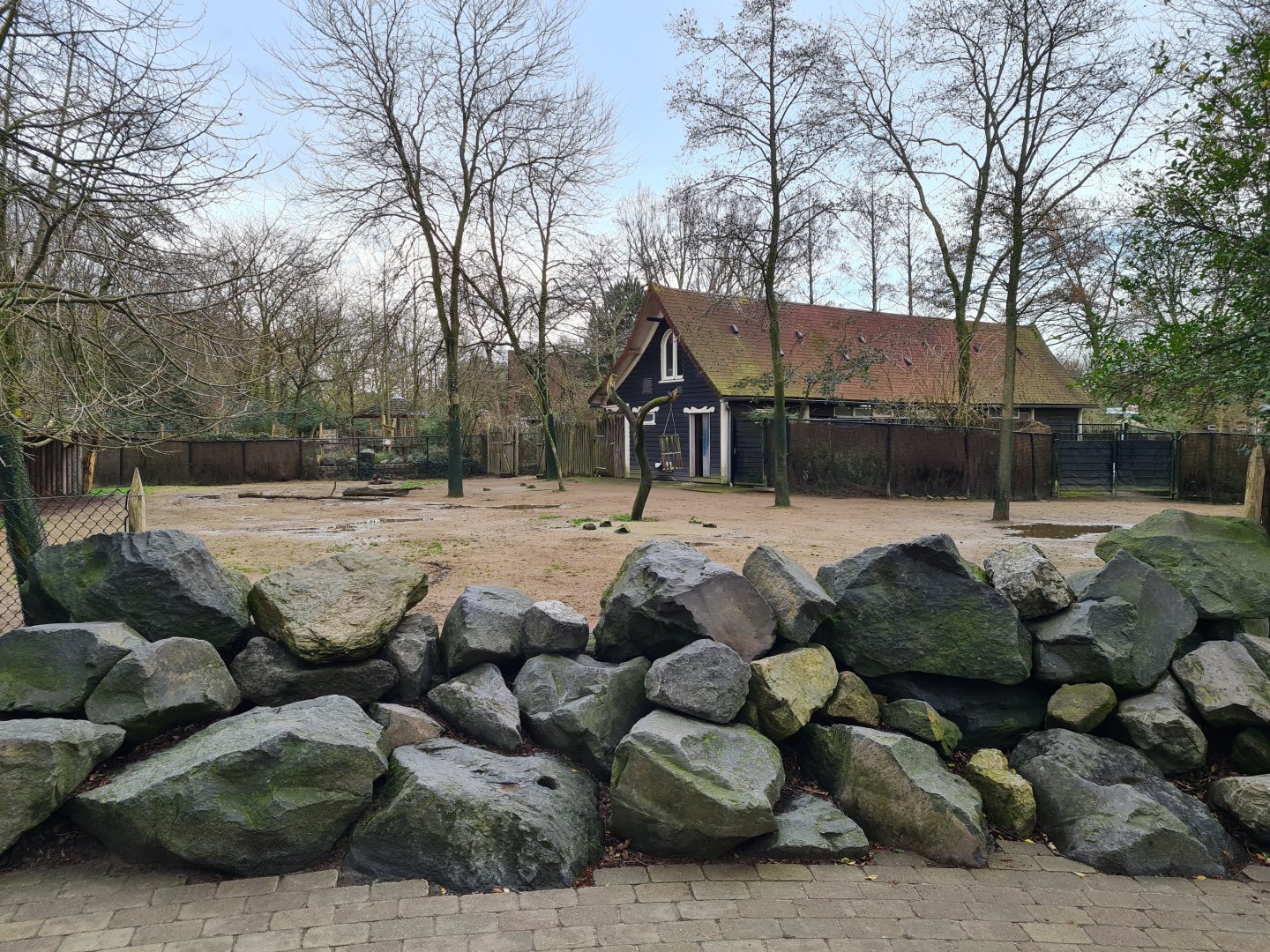 Africa - Addra gazelle paddock