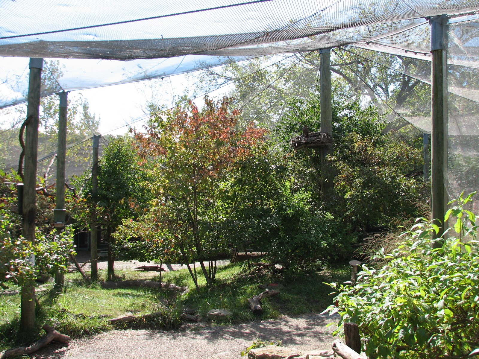 Africa - African Aviary