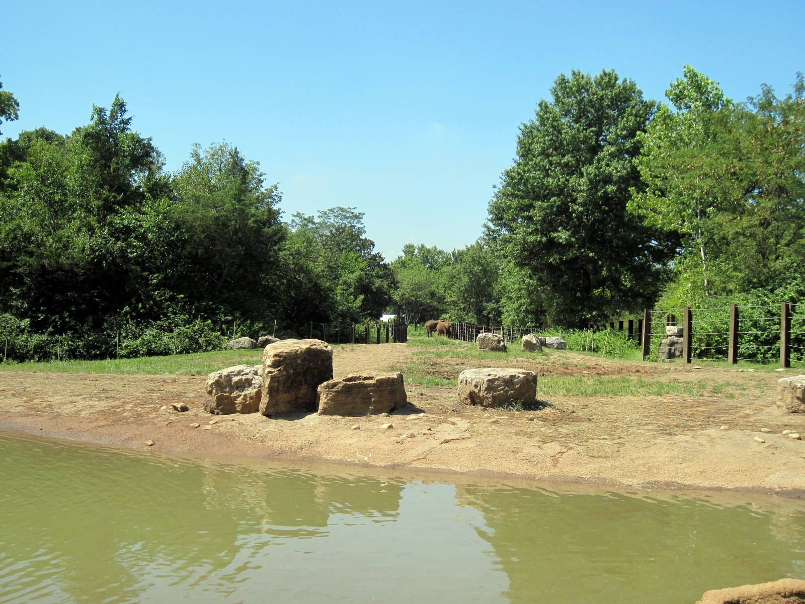 Africa-African Elephant Exhibit