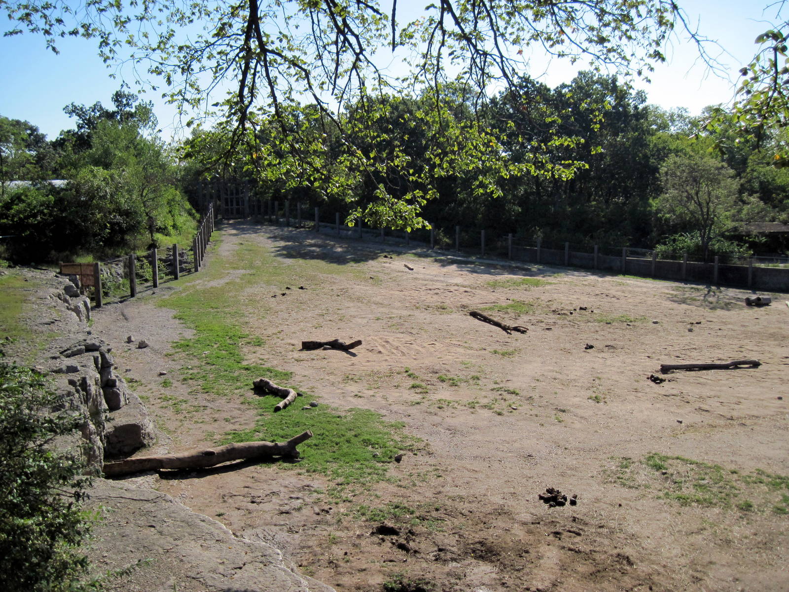 Africa-African Elephant Exhibit