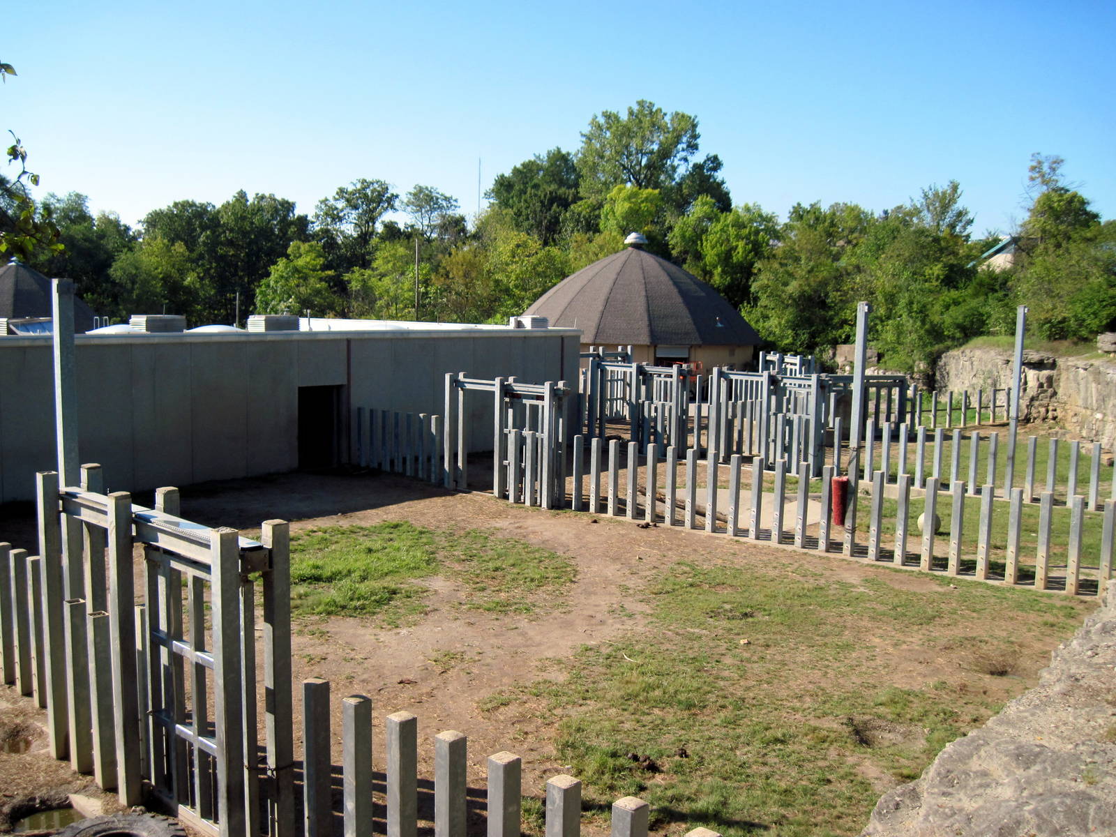Africa-African Elephant Exhibit