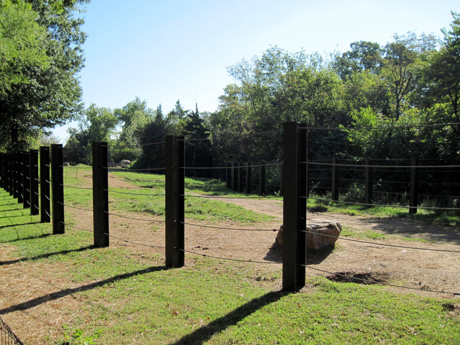 Africa-African Elephant Exhibit