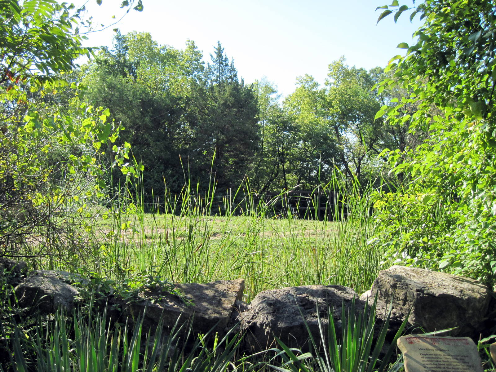Africa-African Elephant Exhibit