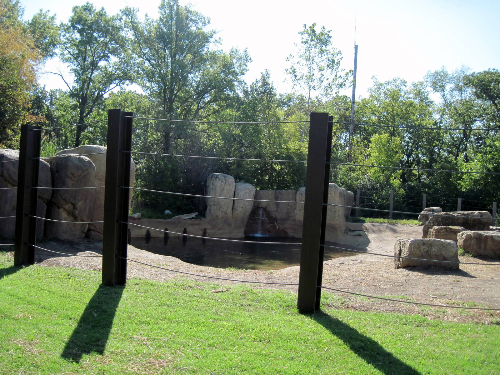 Africa-African Elephant Exhibit