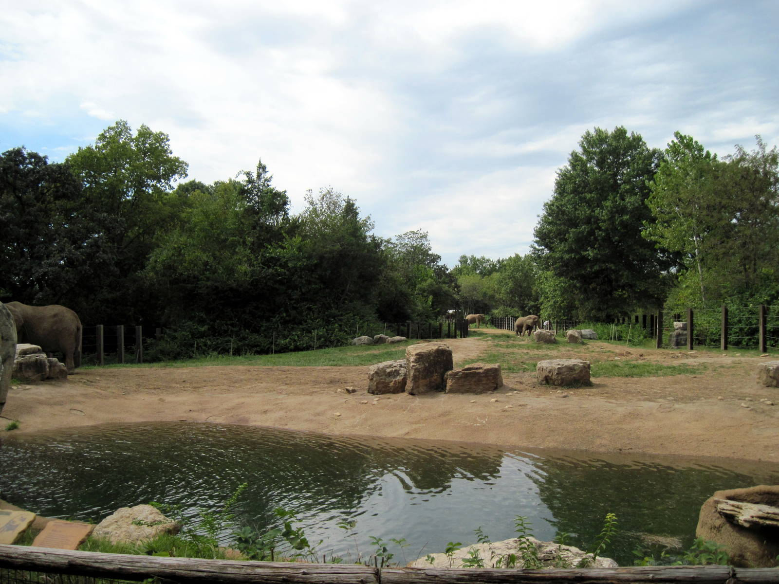 Africa-African Elephant Exhibit