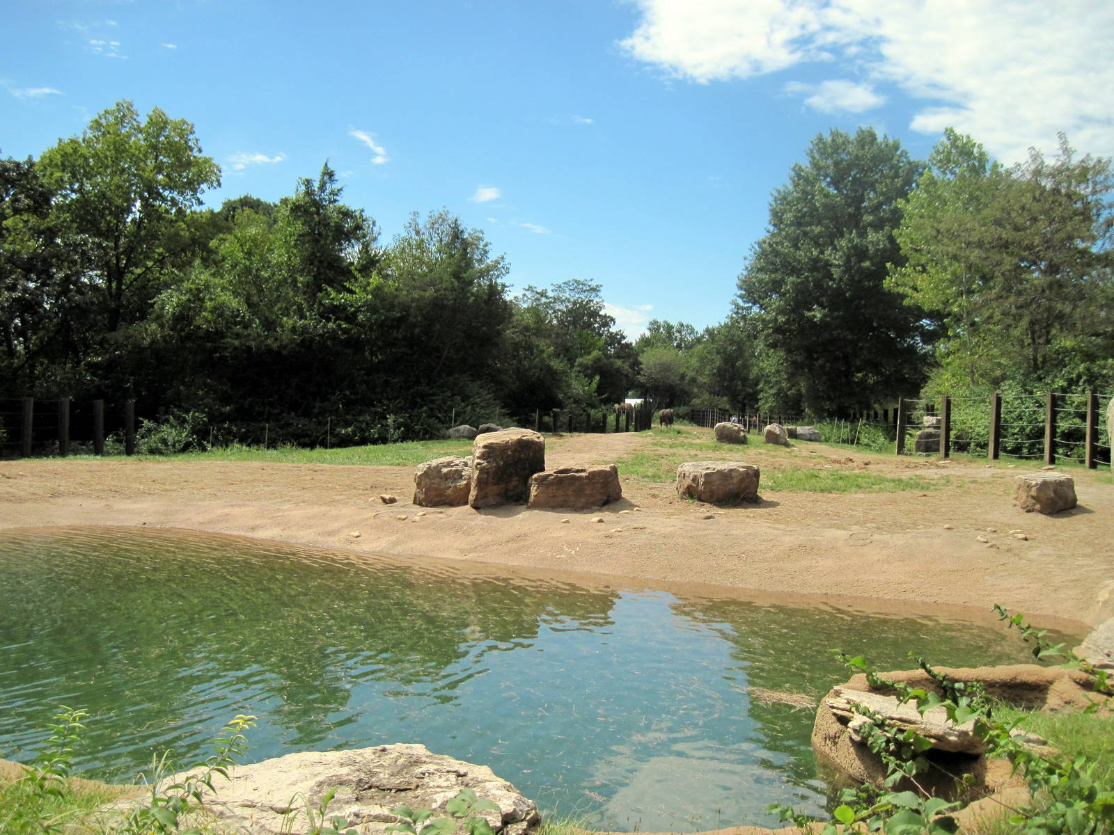 Africa-African Elephant Exhibit