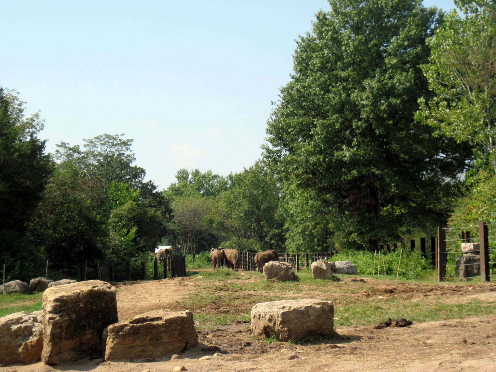 Africa-African Elephant Exhibit