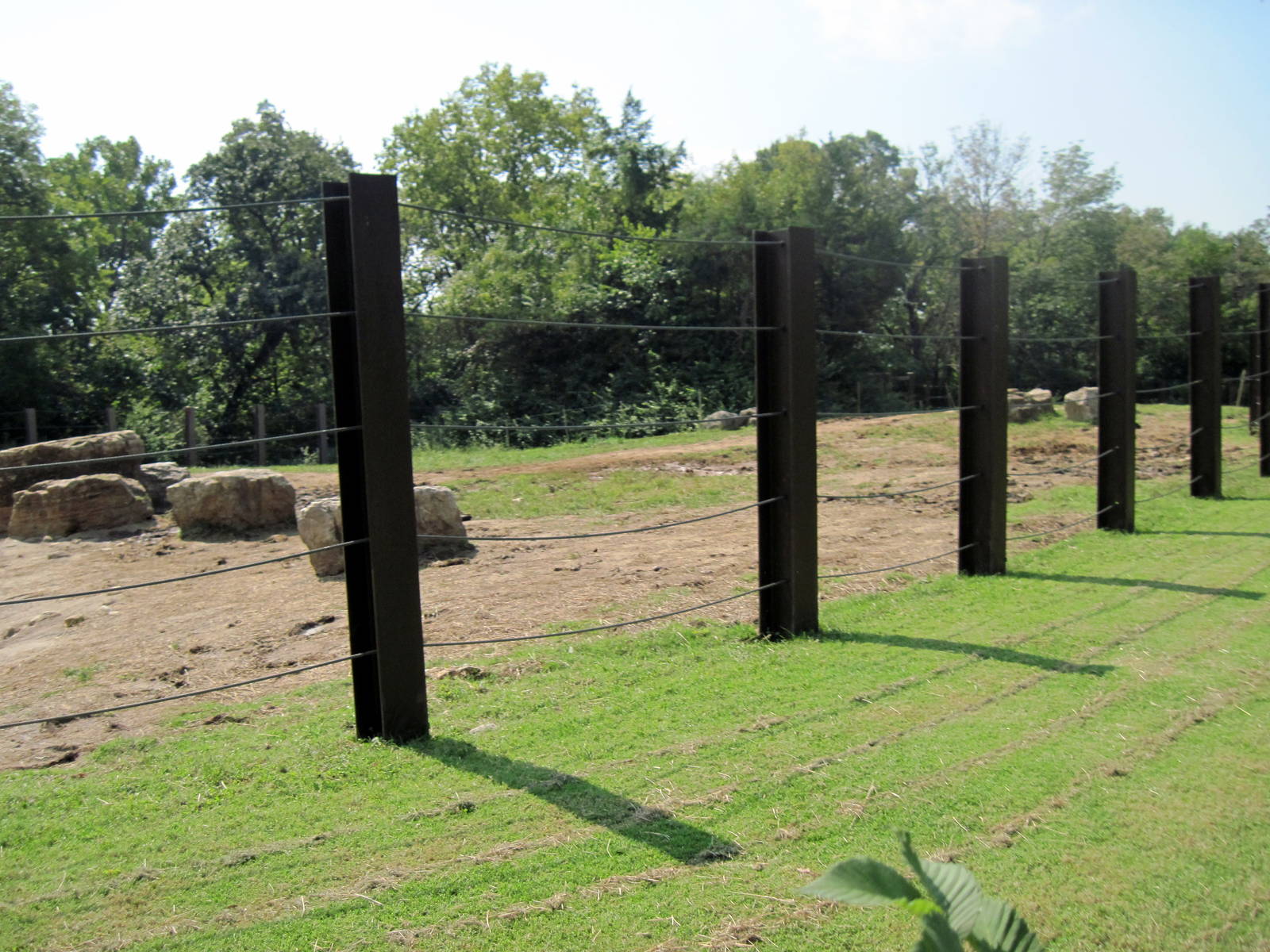 Africa-African Elephant Exhibit