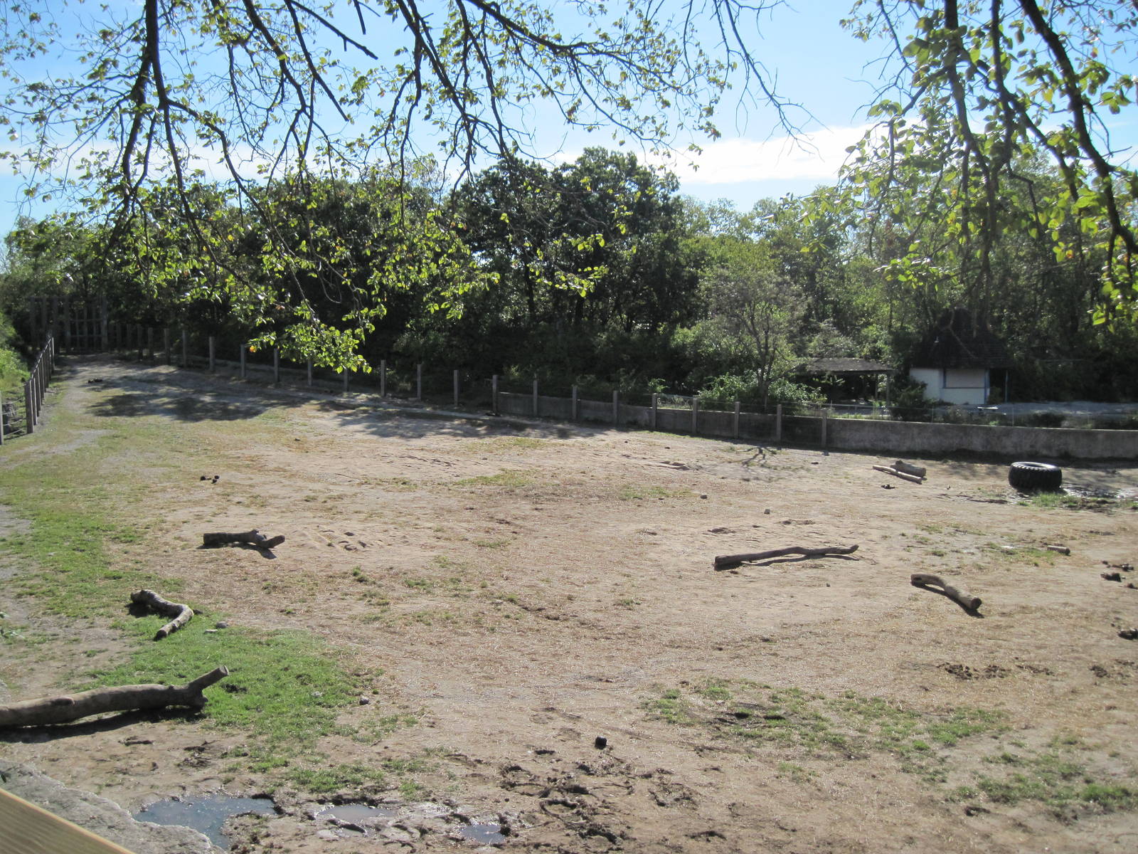 Africa-African Elephant Exhibit