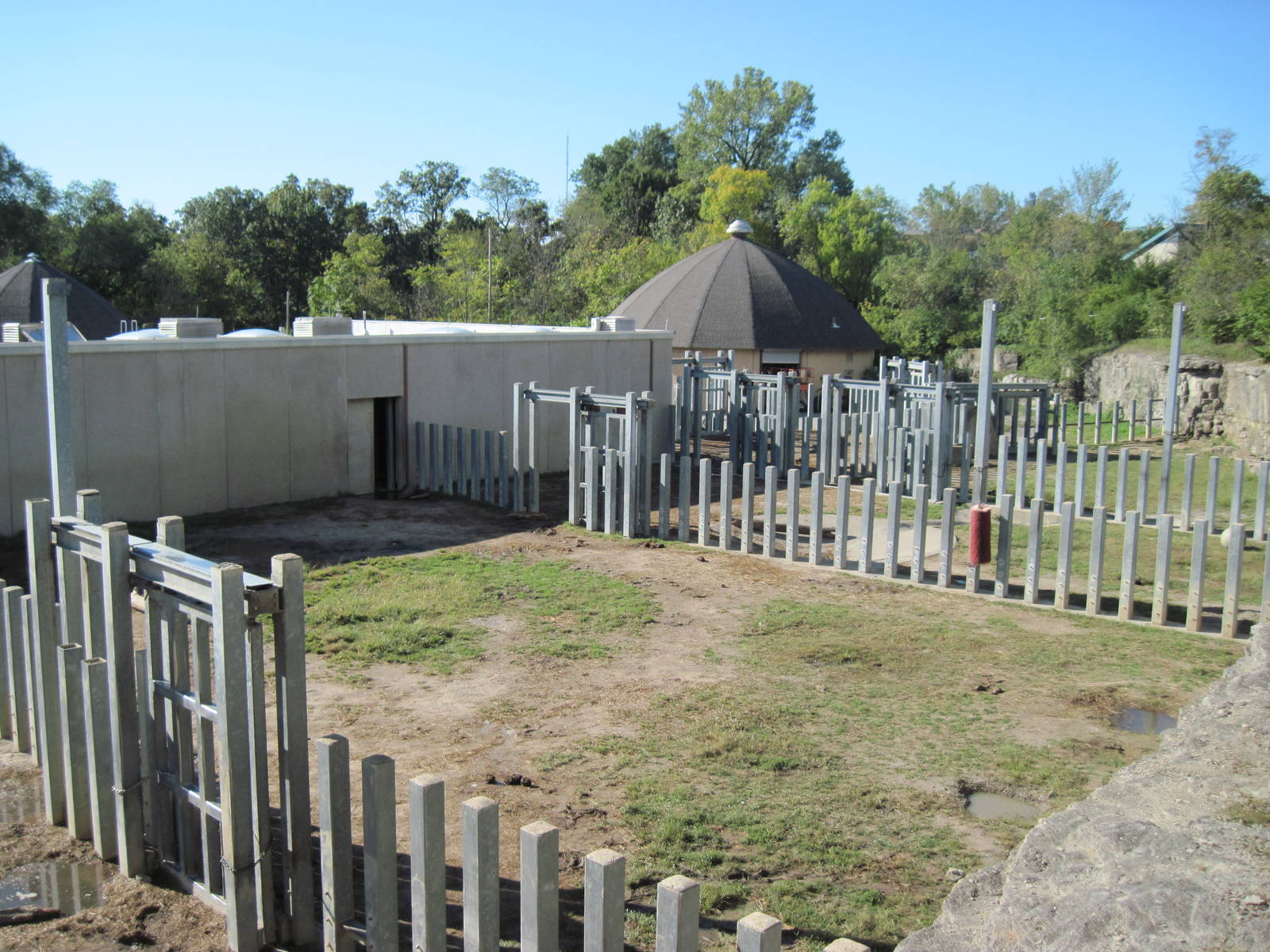 Africa-African Elephant Exhibit