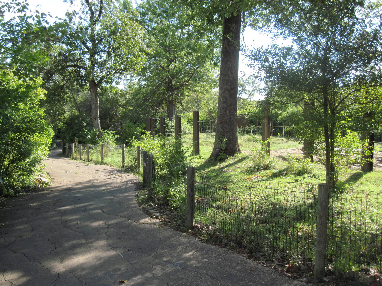Africa-African Elephant Exhibit