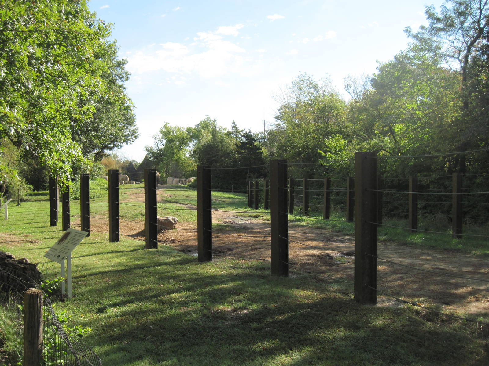 Africa-African Elephant Exhibit