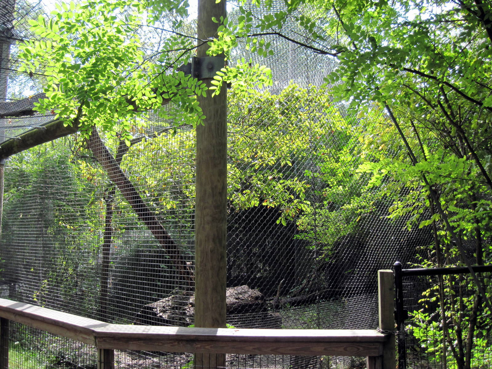 Africa-African Leopard Exhibit