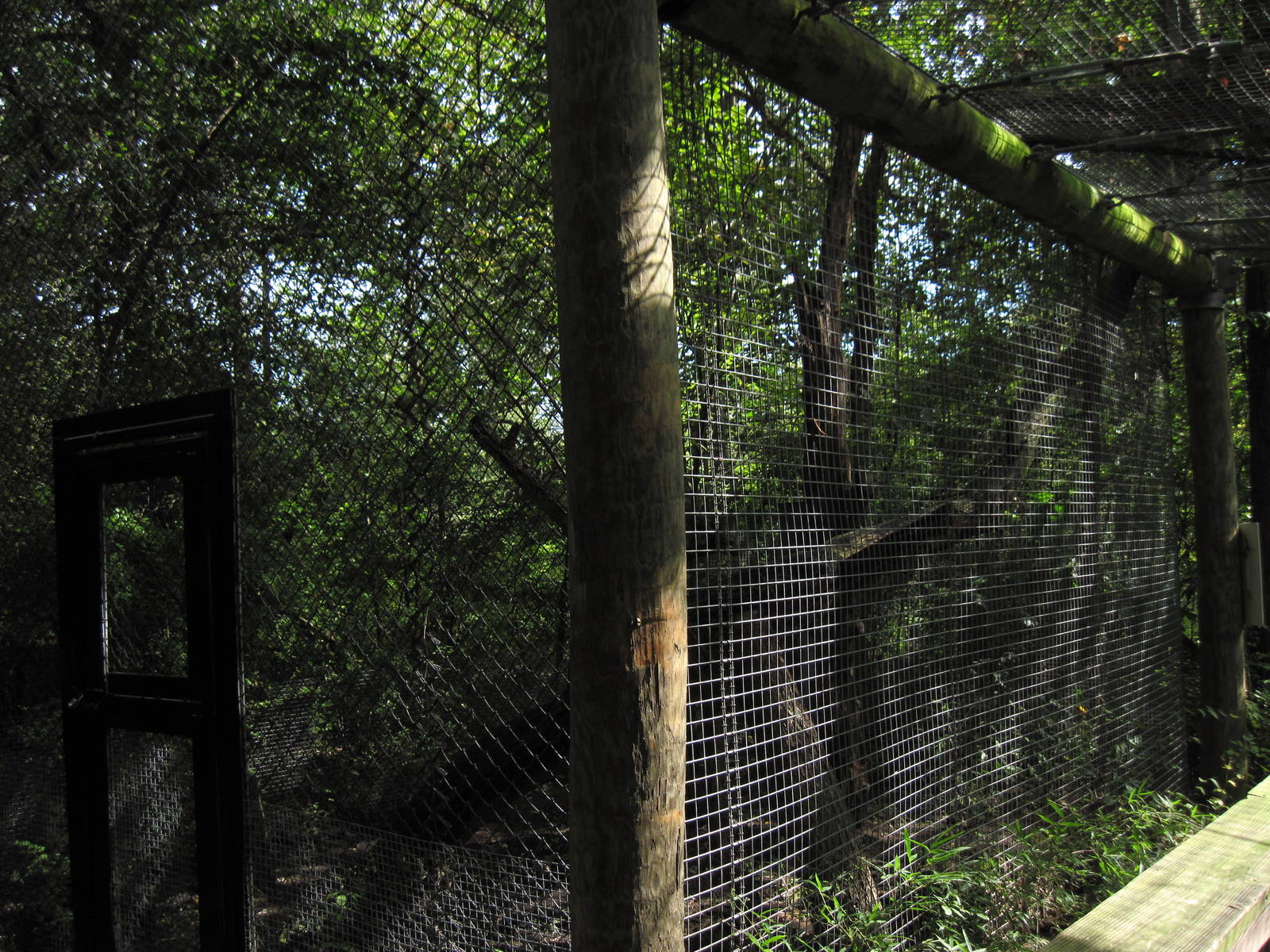 Africa-African Leopard Exhibit
