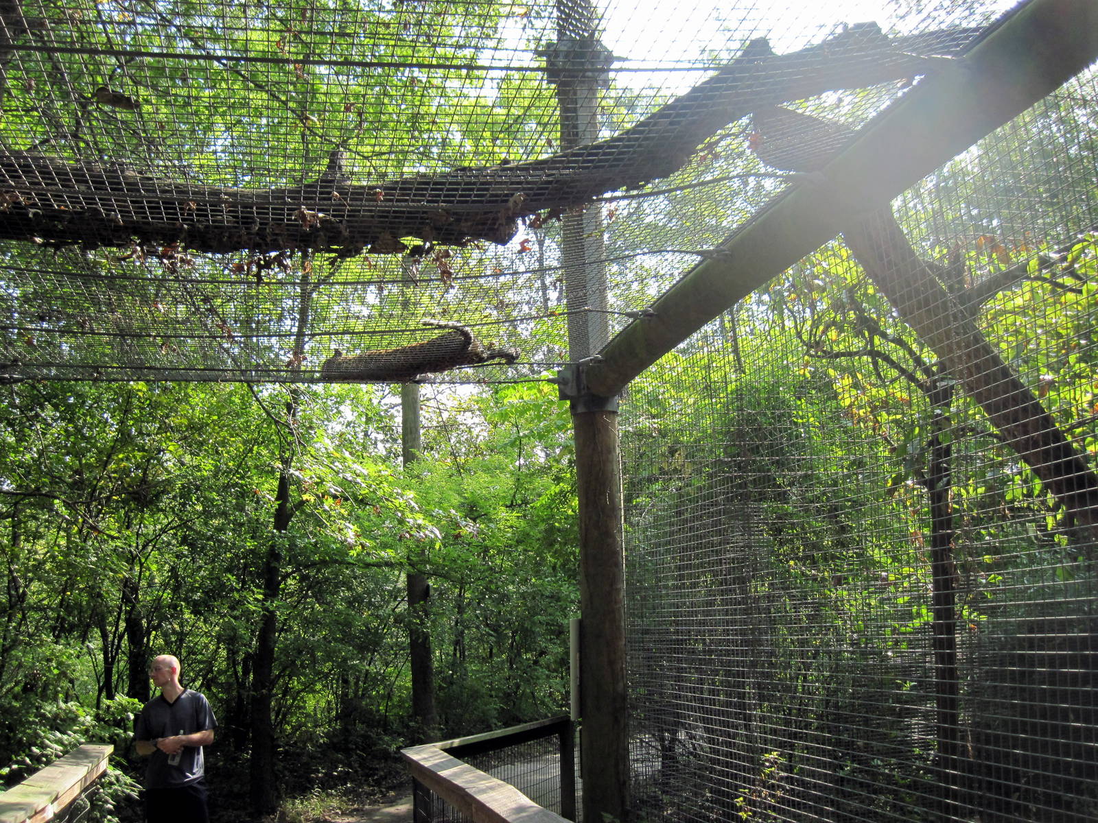 Africa-African Leopard Exhibit