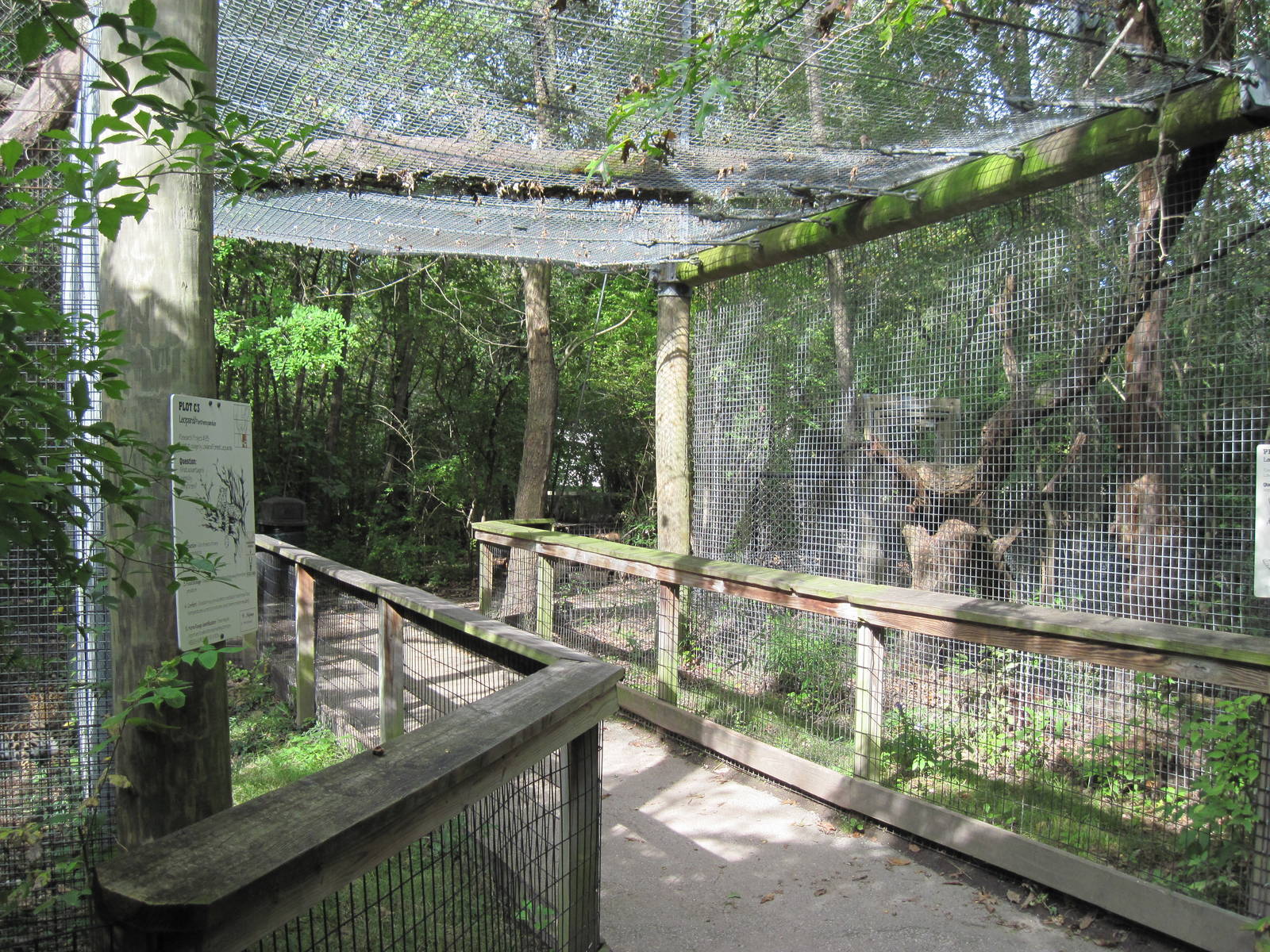 Africa-African Leopard Exhibit