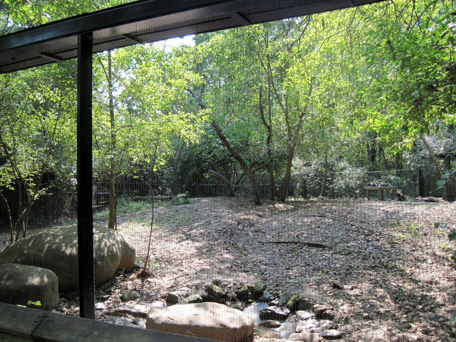 Africa-African Wild Dog Exhibit