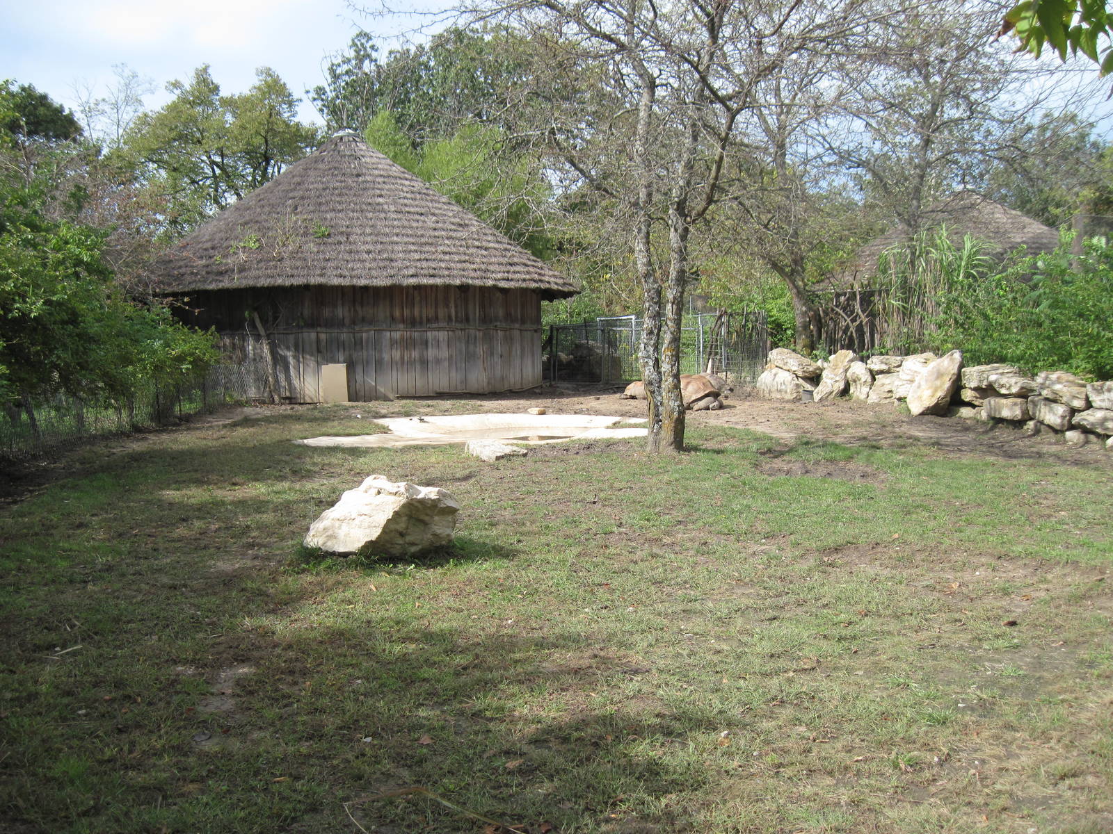 Africa-Aldabra Giant Tortoise Exhibit